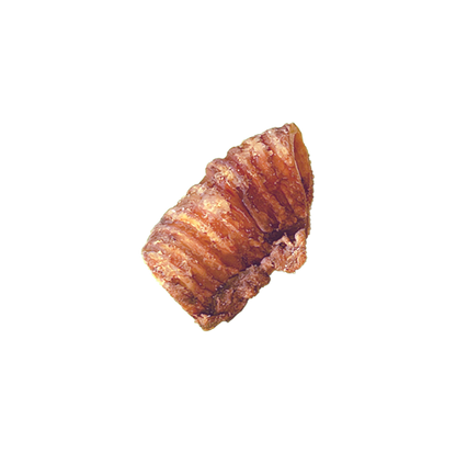 Trachées de boeuf