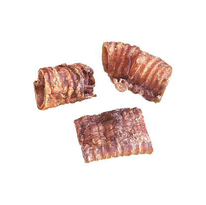 Trachées de boeuf