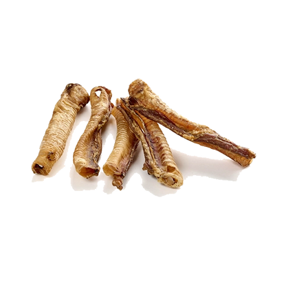 Trachées de cerf