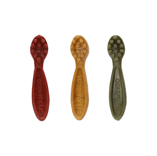 Friandises Végétales brosse à dent