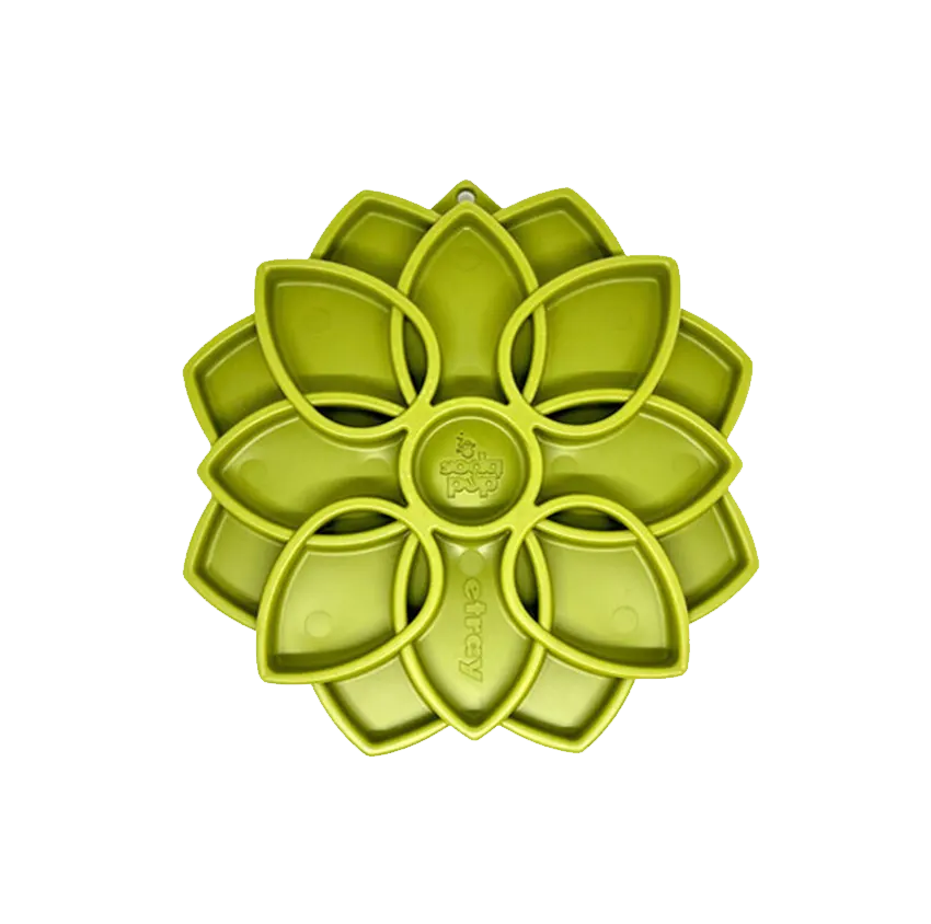 Plateau d'enrichissement Mandala eTray - Sodapup