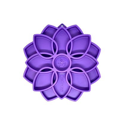 Plateau d'enrichissement Mandala eTray - Sodapup