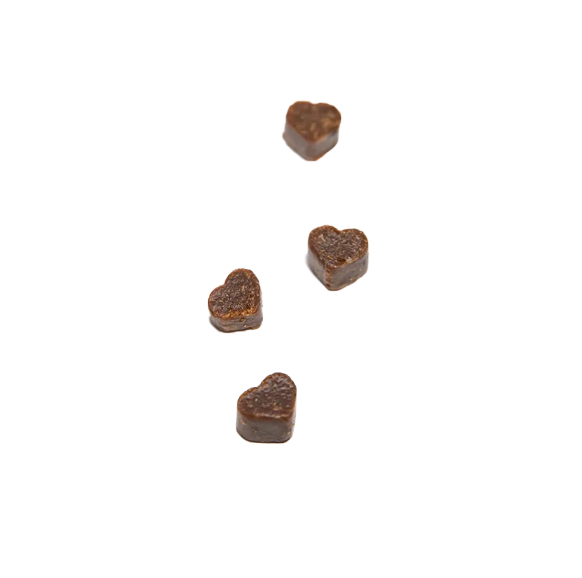 Friandises Tender Snack - Yogupet pour chat